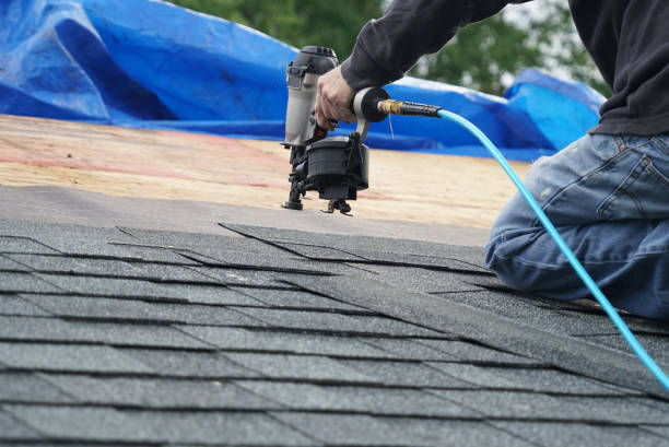 Best Metal Roofing Contractor  in Shiner, TX