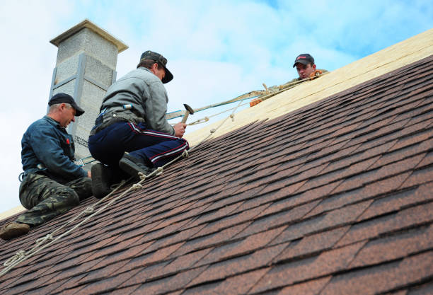 Best Gutter Installation and Roofing  in Shiner, TX